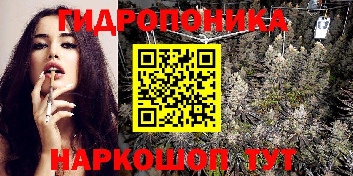 Конопля планчик  Марихуана марихуана  Конопля тримм  Каннабис Bruce Banner  Дубна  Вход с VPN 